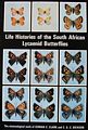 Life Histories of the South African Lycaenid Butterflies.