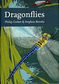 Dragonflies.