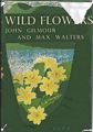 Wild Flowers.
