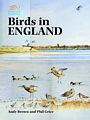 Birds in England.