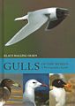 Gulls of the World.