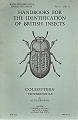 Coleoptera Family Tenebrionidae.