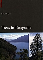 Trees in Patagonia.