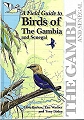 A Field Guide to Birds of the Gambia and Senegal.