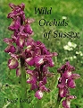 Wild Orchids of Sussex.