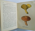 A Plain and Easy Account of British Fungi: