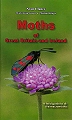 Moths of Great Britain and Ireland.
