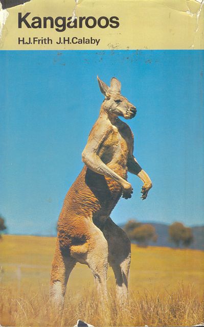 Kangaroos.