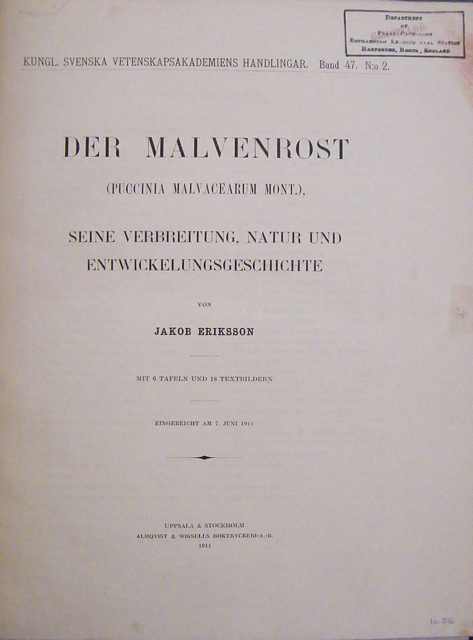 Der Malvenrost (Puccinia malvacearum Mont).