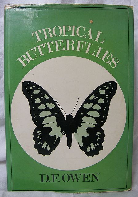Tropical Butterflies.