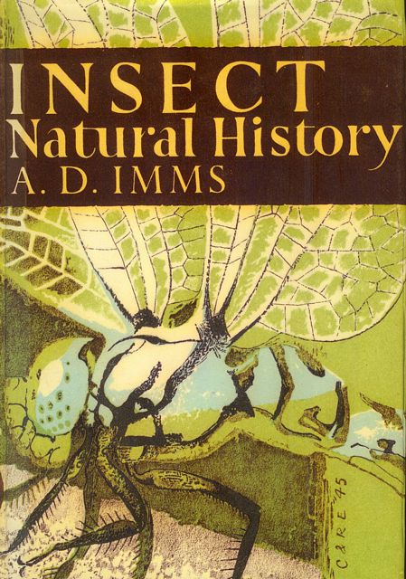 Insect - Natural History