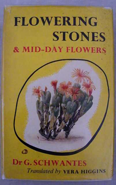 Flowering Stones & Mid-Day Flowers.