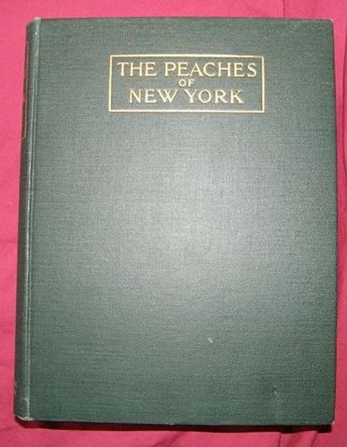 The Peaches of New York.