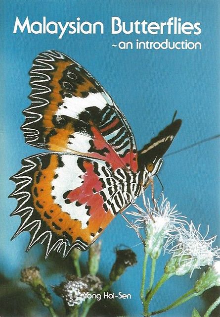Malaysian Butterflies - An Introduction.