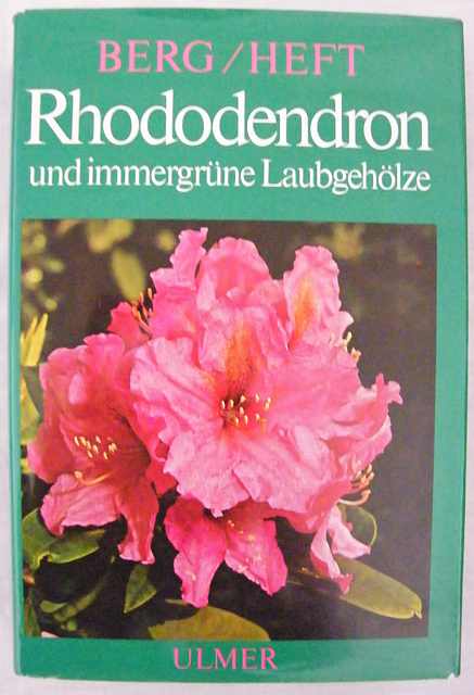 Rhododendron und immergrune Laubgeholze.