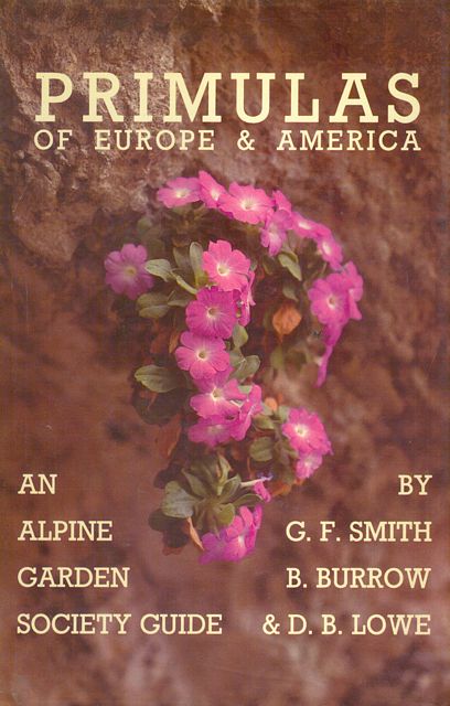 Primulas of Europe & America.