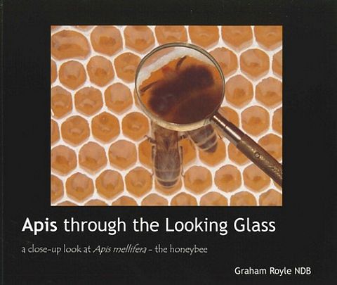 Apis through the Looking Glass.