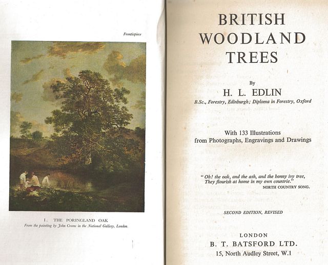 British Woodland Trees.