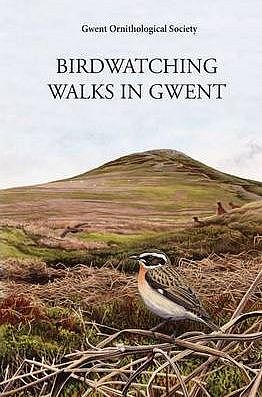Birdwatching Walks in Gwent. 
