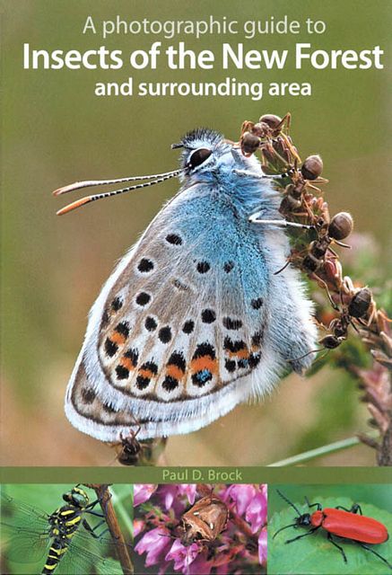 A Photographic Guide to Insects of the New Forest and Surrounding Area.