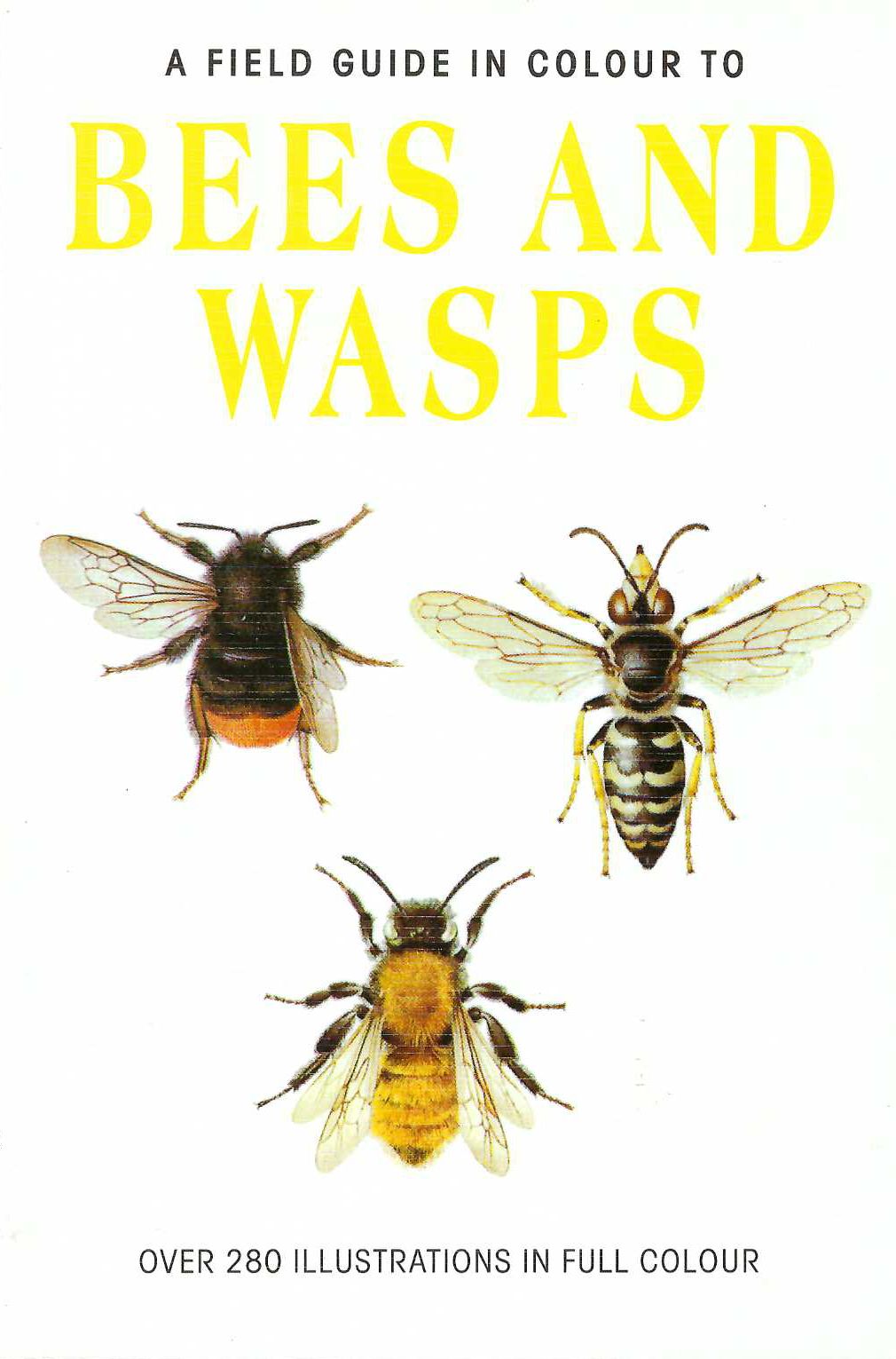 A Field Guide in Colour to Bees and Wasps.