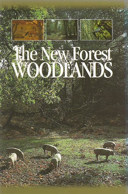 The New Forest Woodlands.