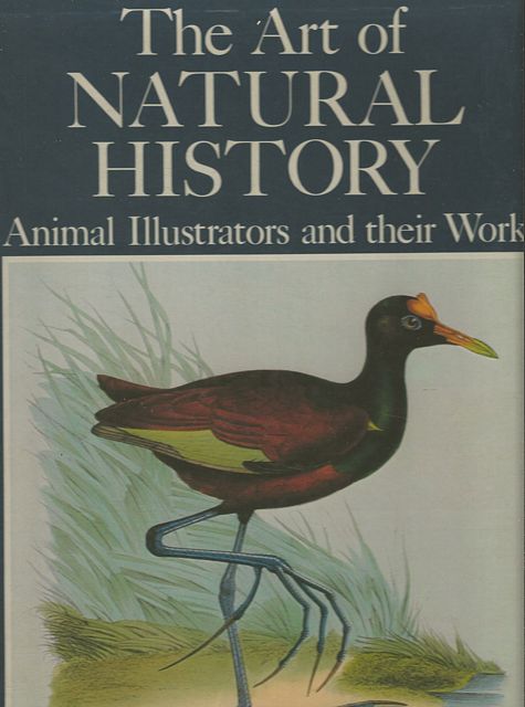 The Art of Natural History.