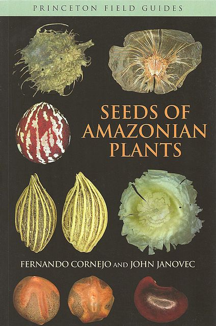 Seeds of Amazonian Plants.