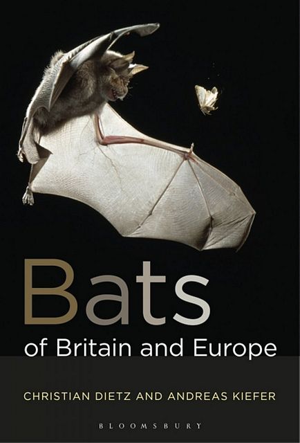 Bats of Britain and Europe.