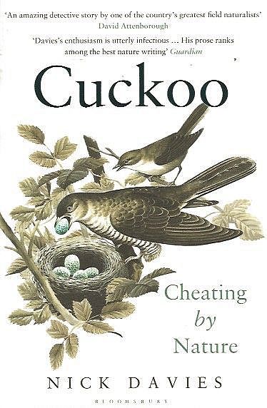 Cuckoo.