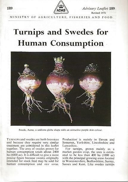 Turnips and Swedes for Human Consumption. 
