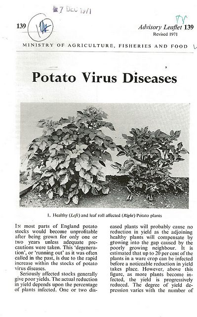 Potato Virus Diseases.