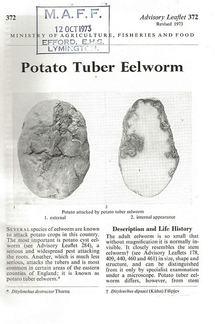 Potato Tuber Eelworm.
