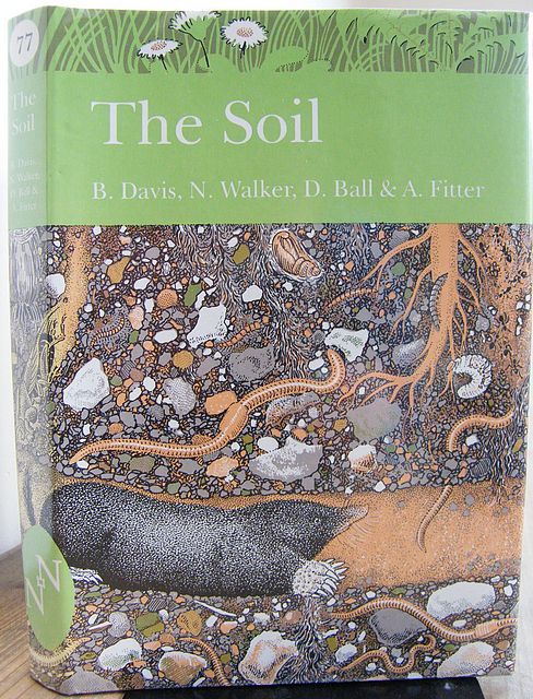 The Soil.