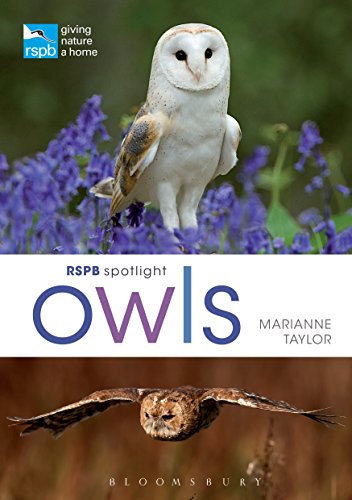 RSPB Spotlight: Owls.