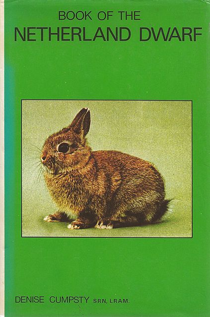 Book of the Netherland Dwarf.