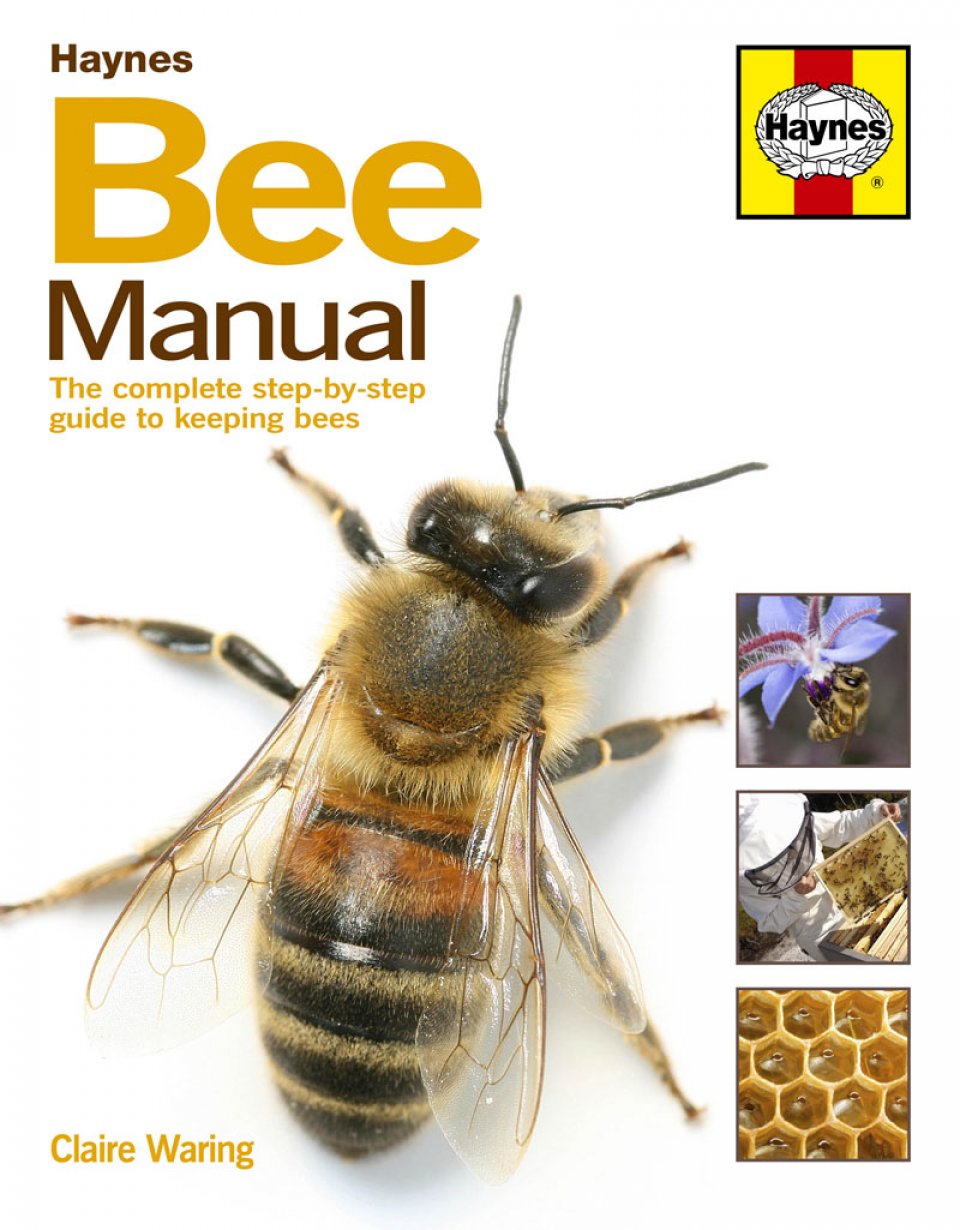 Haynes Bee Manual.