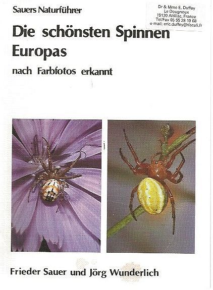 Die schonsten Spinnen Europas.