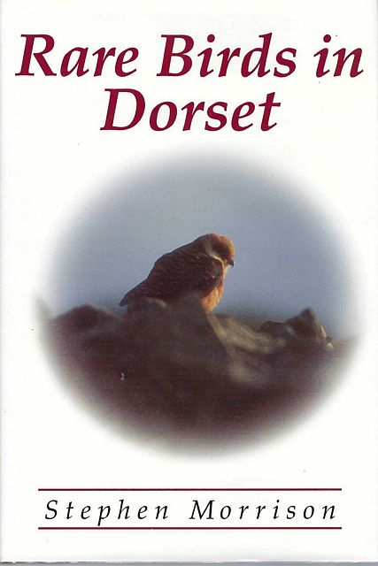 Rare Birds in Dorset. 