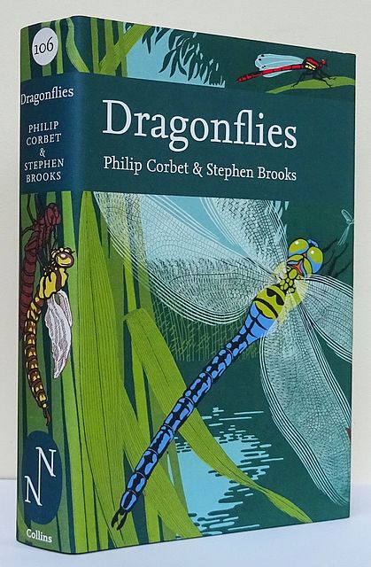 Dragonflies.