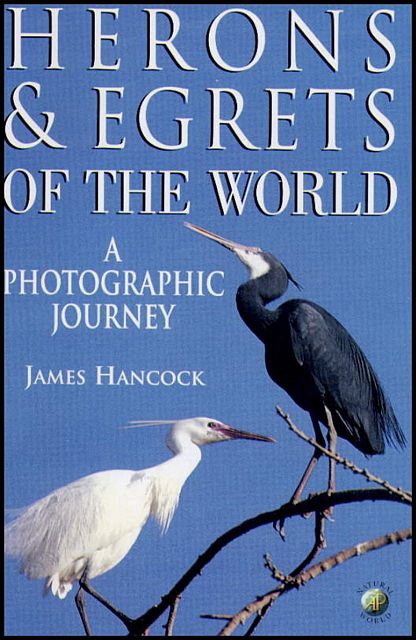 Herons and Egrets of the World. 