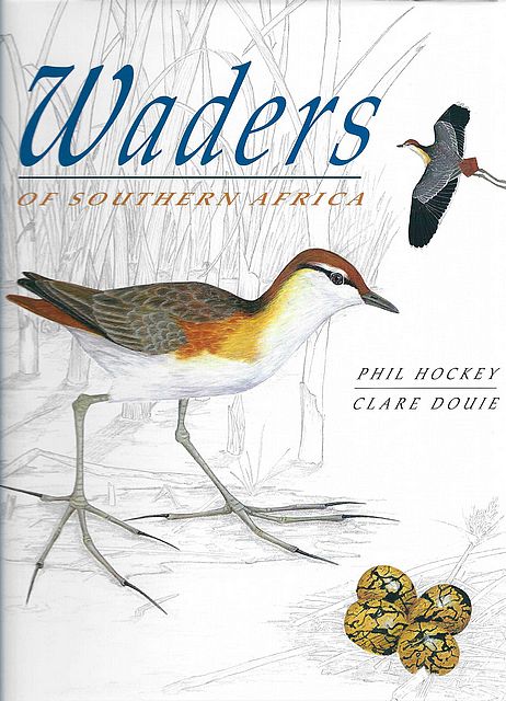 Waders of Southern Africa.