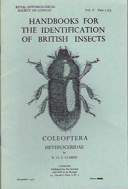Coleoptera Family Heteroceridae