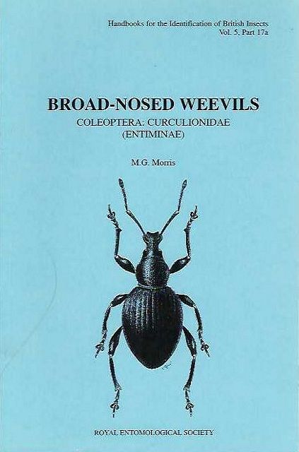 Broad-Nosed Weevils. Coleoptera: Curculionidae (Entiminae).