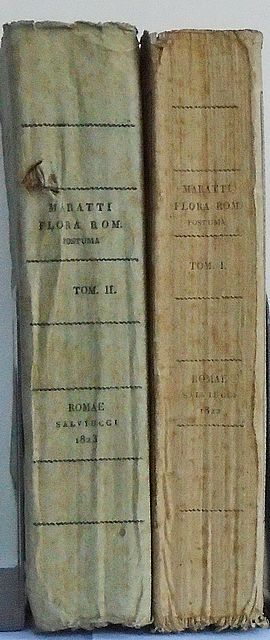 Flora Romana.