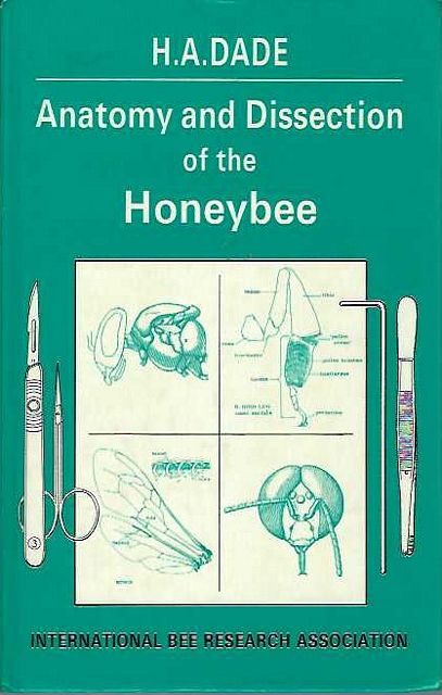 Anatomy and Dissection of the Honeybee.