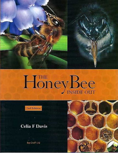 The Honey Bee.