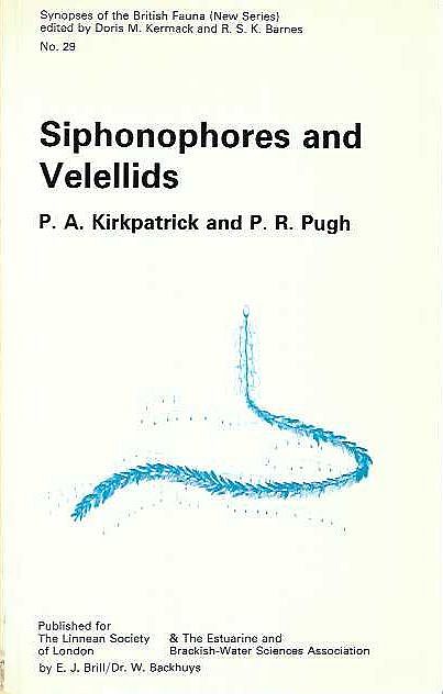 Siphonophores and Velellids.