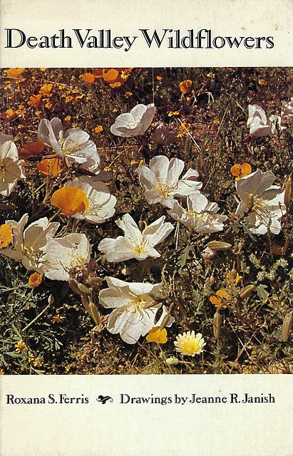 Death Valley Wildflowers.