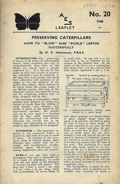 Preserving Caterpillars. 